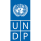 logo of the UNDP